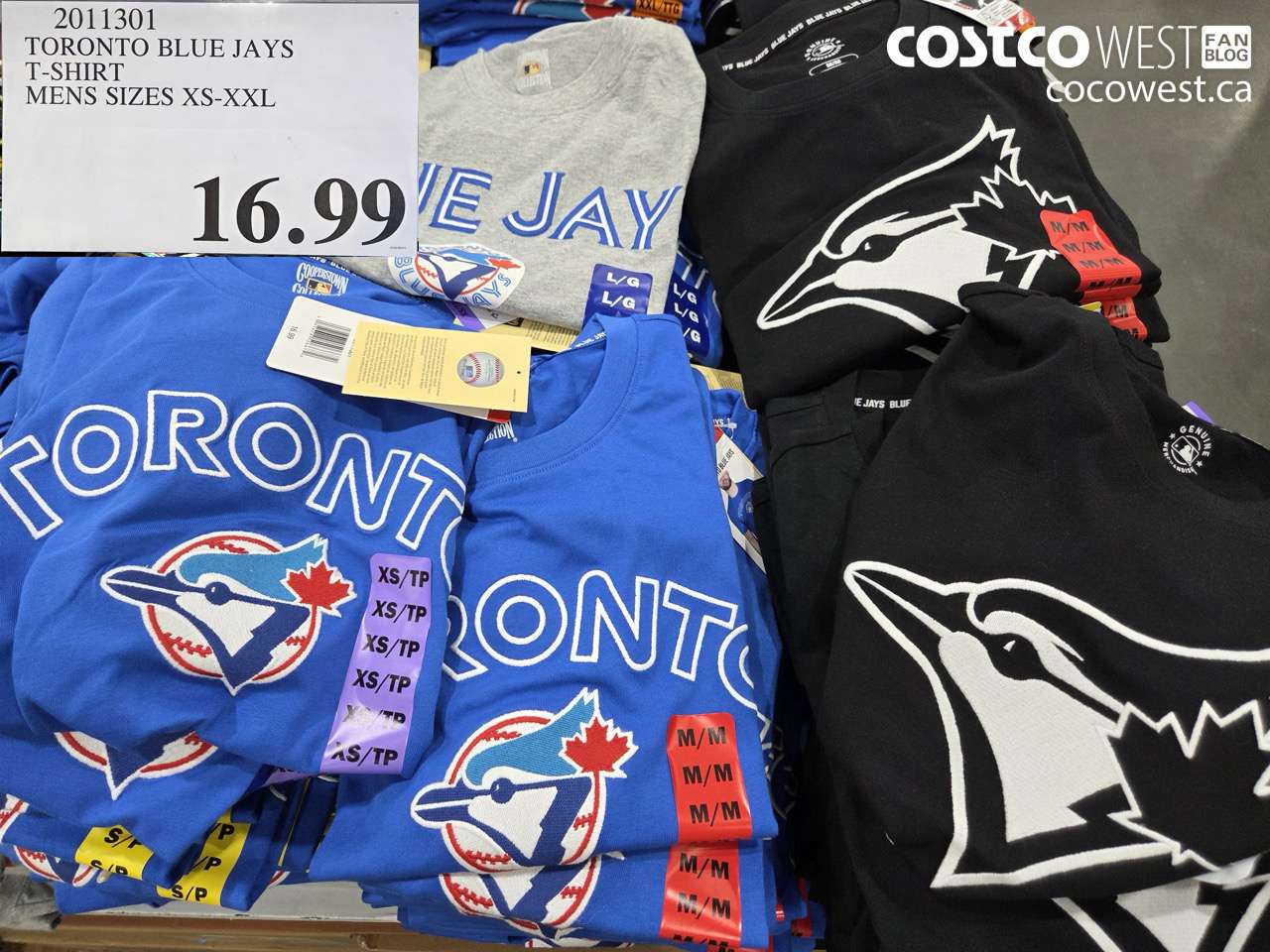 2011301 TORONTO BLUE JAYS T-SHIRT MENS SIZES XS-XXL $16.99