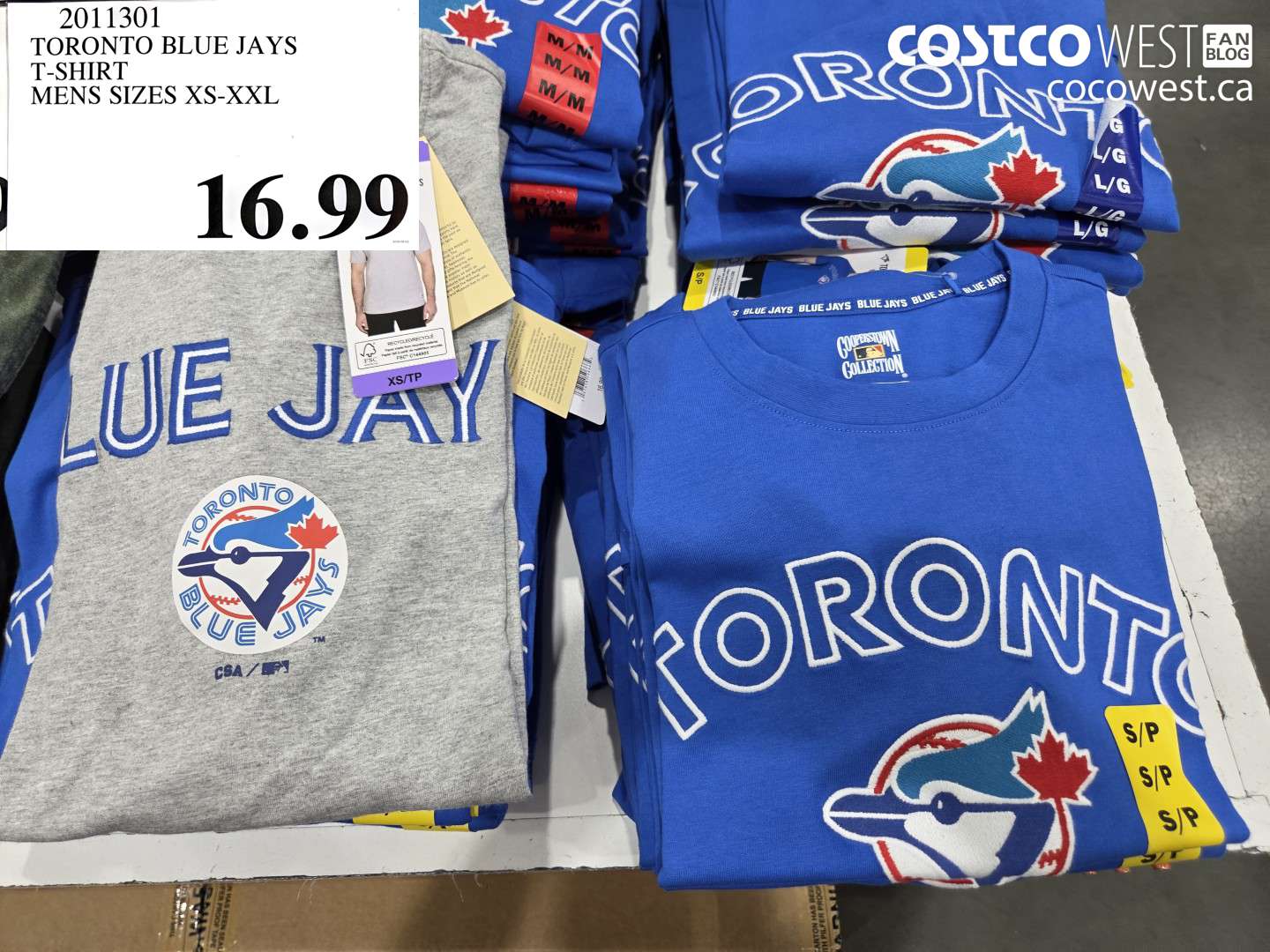 2011301 TORONTO BLUE JAYS T-SHIRT MENS SIZES XS-XXL $16.99