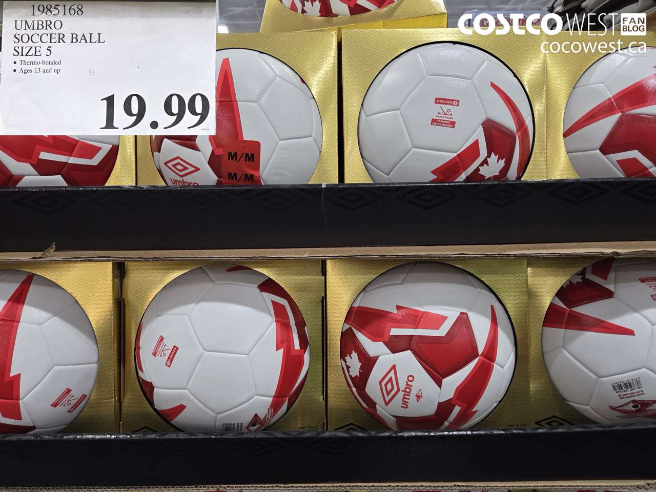 1985168 UMBRO SOCCER BALL SIZE 5 $19.99