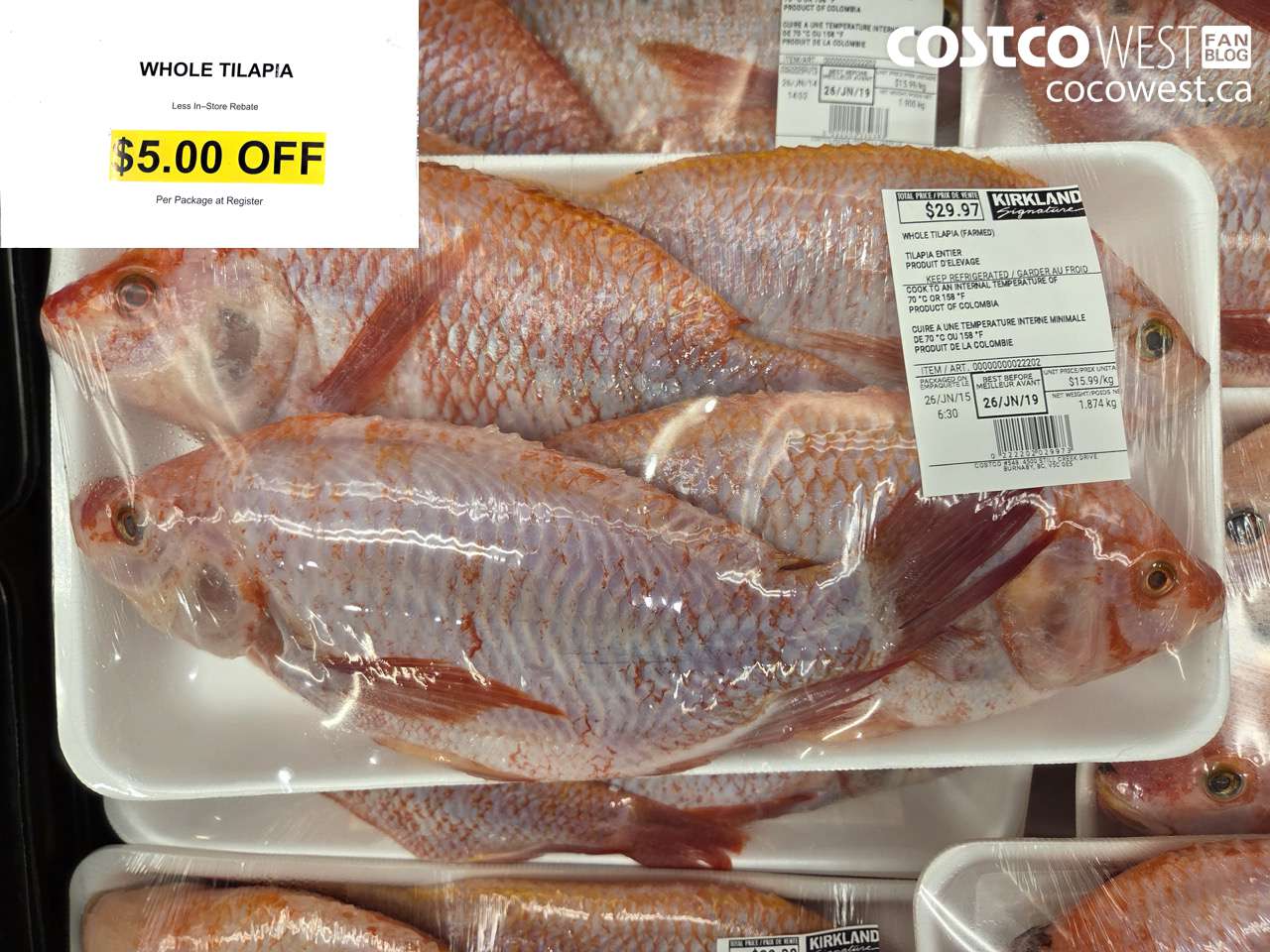 22202 WHOLE TILAPIA ($5.00 INSTANT SAVINGS)