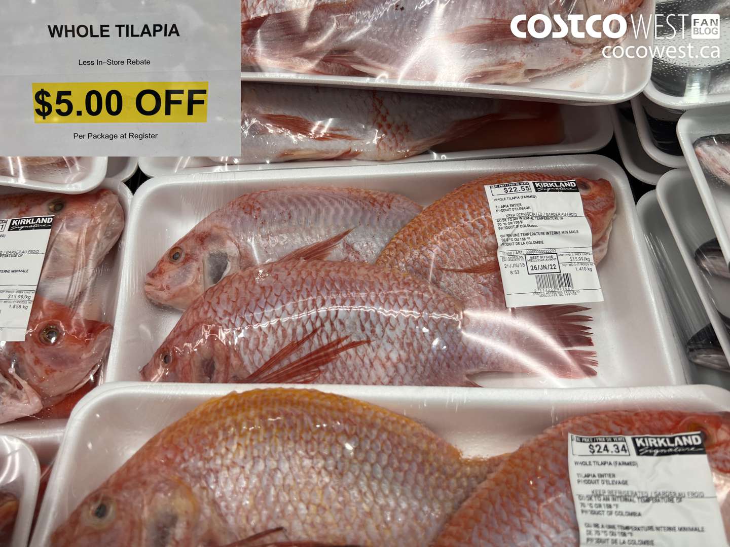22202 WHOLE TILAPIA ($5.00 INSTANT SAVINGS)