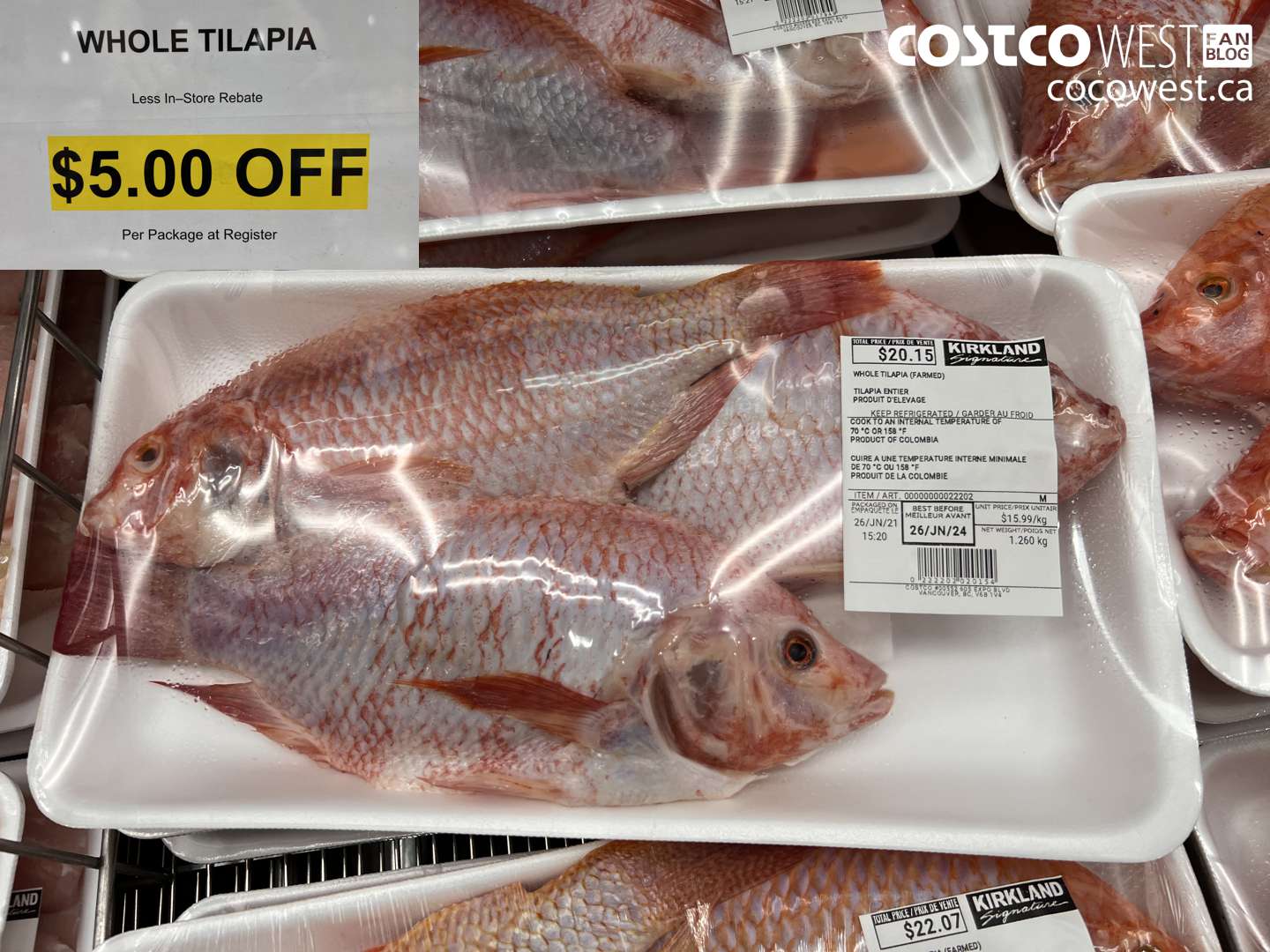 22202 WHOLE TILAPIA ($5.00 INSTANT SAVINGS)
