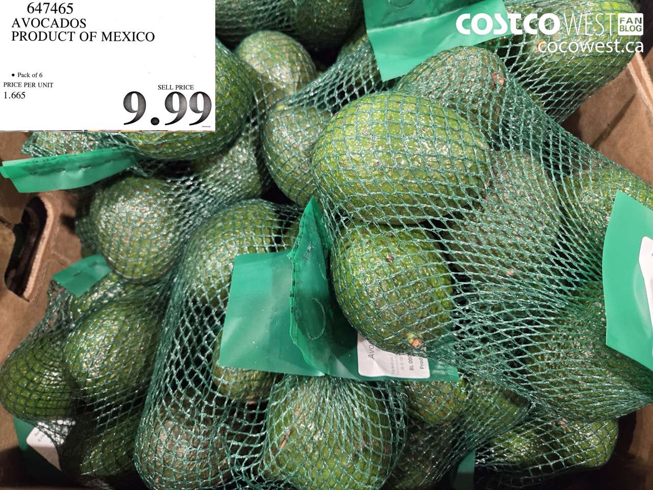 647465 AVOCADOS PRODUCT OF MEXICO $9.99