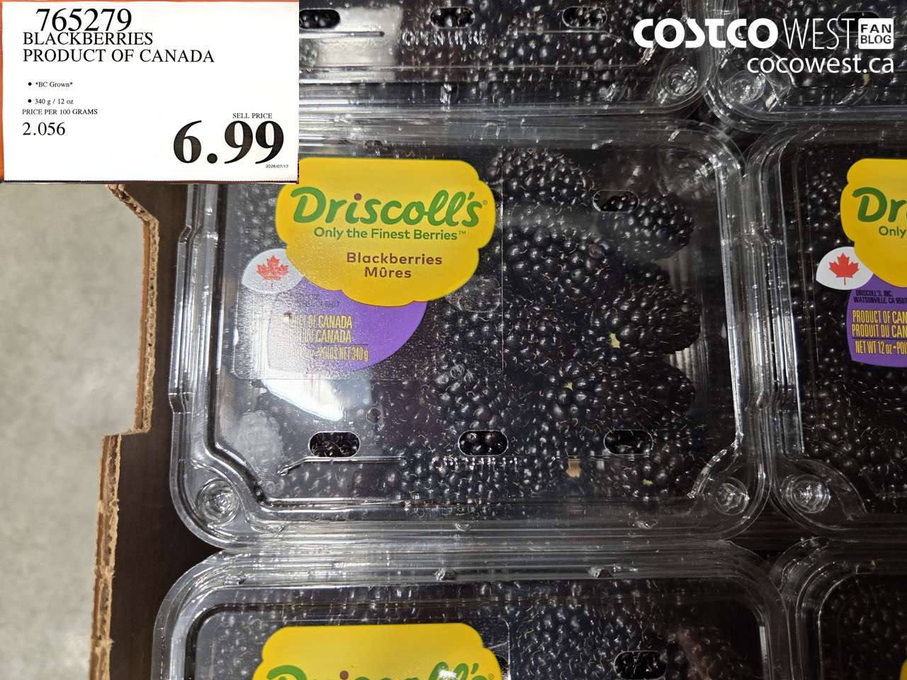 765279 BLACKBERRIES PRODUCT OF CANADA $6.99
