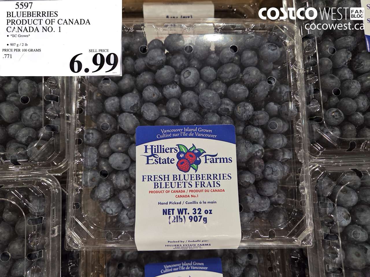 5597 BLUEBERRIES PRODUCT OF CANADA CANADA NO. 1 $6.99