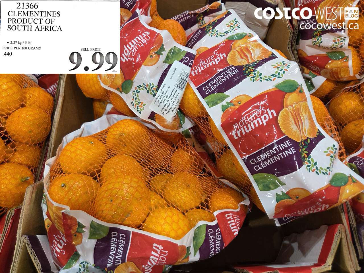 21366 CLEMENTINES PRODUCT OF SOUTH AFRICA $9.99