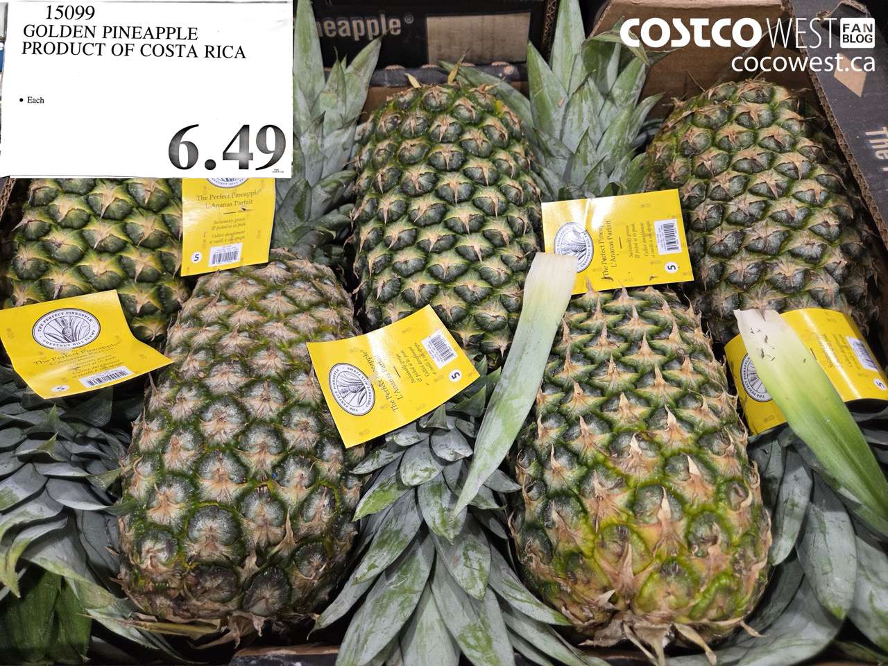 15099 GOLDEN PINEAPPLE PRODUCT OF COSTA RICA $6.49