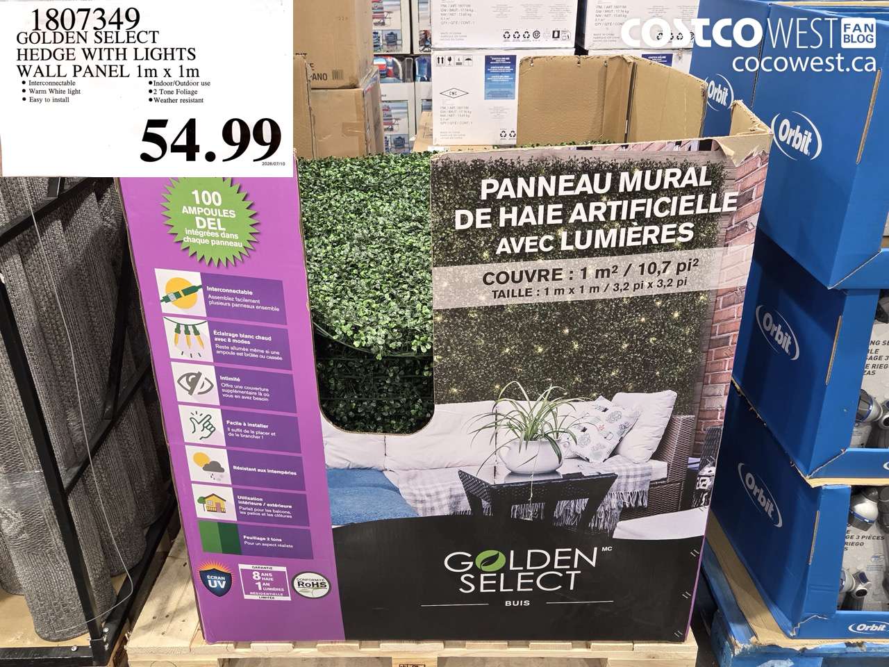 1807349 GOLDEN SELECT HEDGE WITH LIGHTS WALL PANEL 1M X 1M $54.99