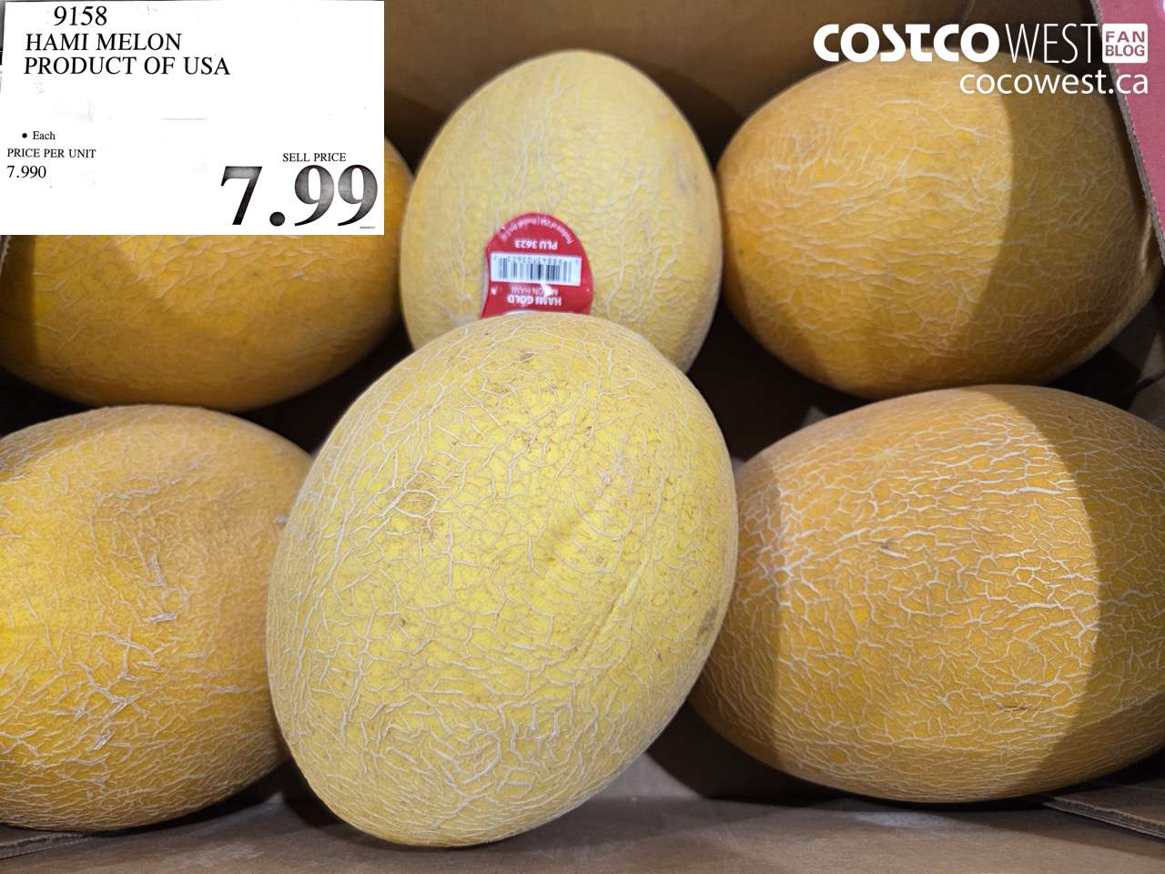 9158 HAMI MELON PRODUCT OF USA $7.99