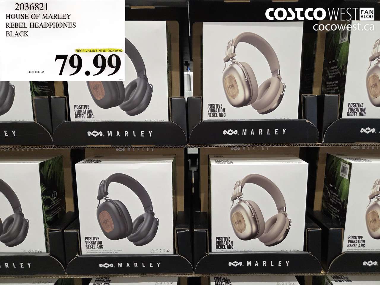 2036821 HOUSE OF MARLEY REBEL HEADPHONES BLACK (EXPIRES ON 2026-08-02) $79.99