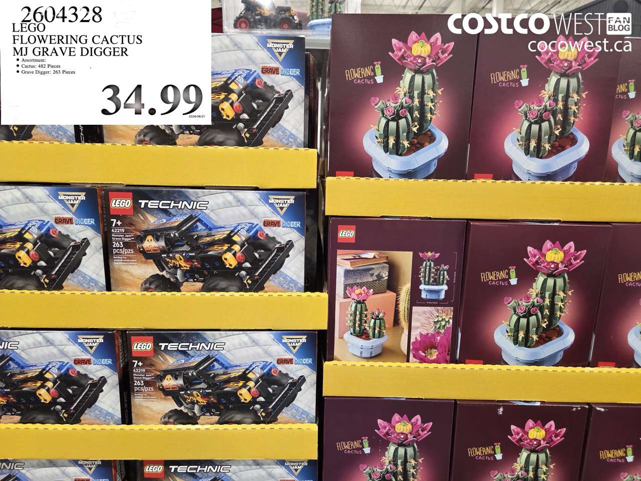 2604328 LEGO FLOWERING CACTUS MJ GRAVE DIGGER $34.99