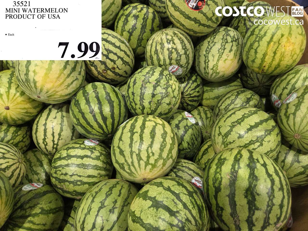 35521 MINI WATERMELON PRODUCT OF USA $7.99