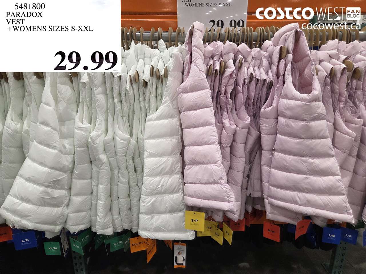 5481800 PARADOX VEST + WOMENS SIZES S-XXL $29.99