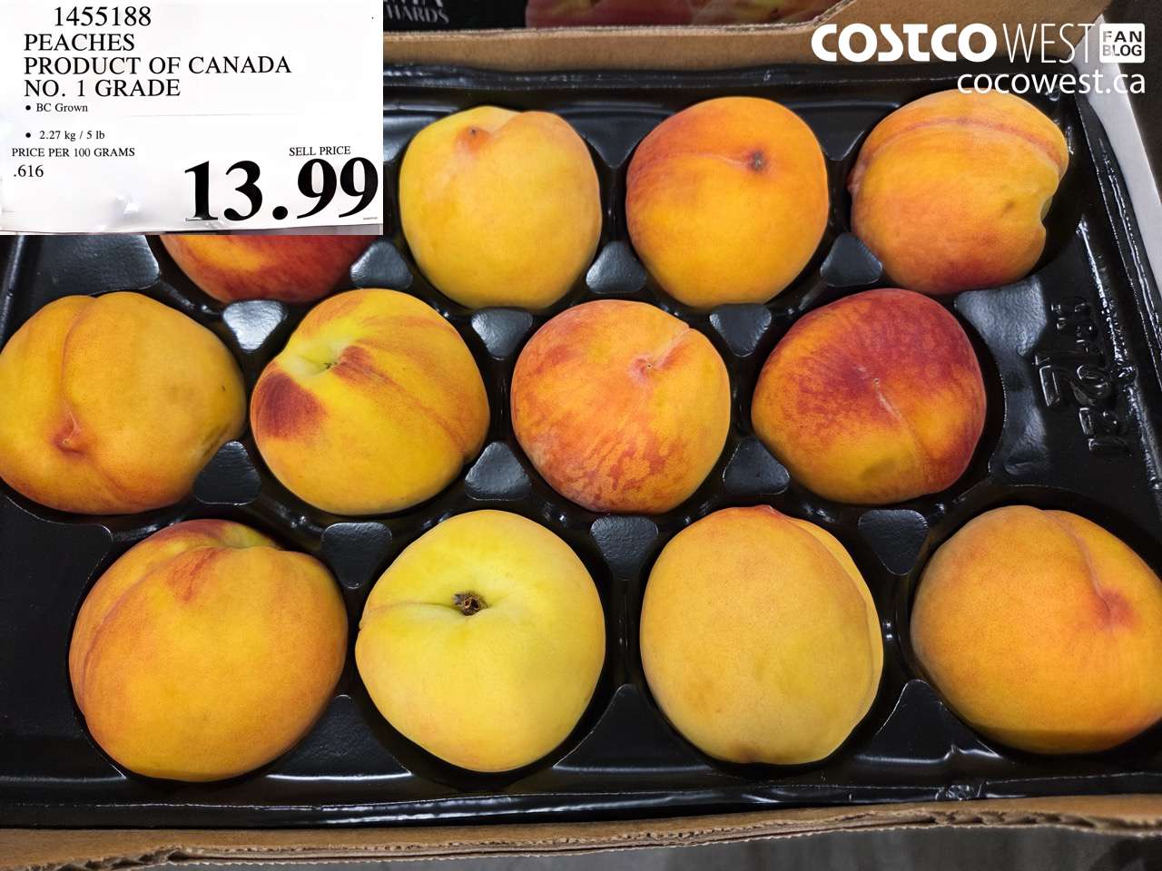1455188 PEACHES PRODUCT OF CANADA NO. 1 GRADE $13.99