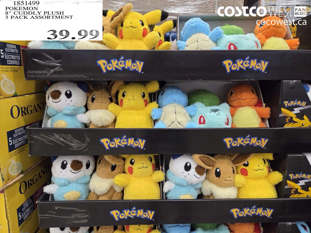 1851499 POKEMON 8