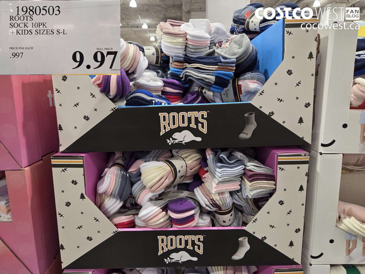 1980503 ROOTS SOCK 10PK +KIDS SIZES S-L $9.97