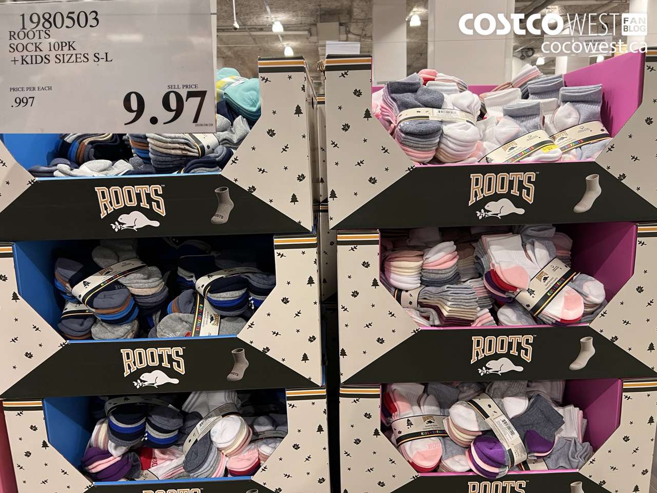 1980503 ROOTS SOCK 10PK + KIDS SIZES S-L $9.97