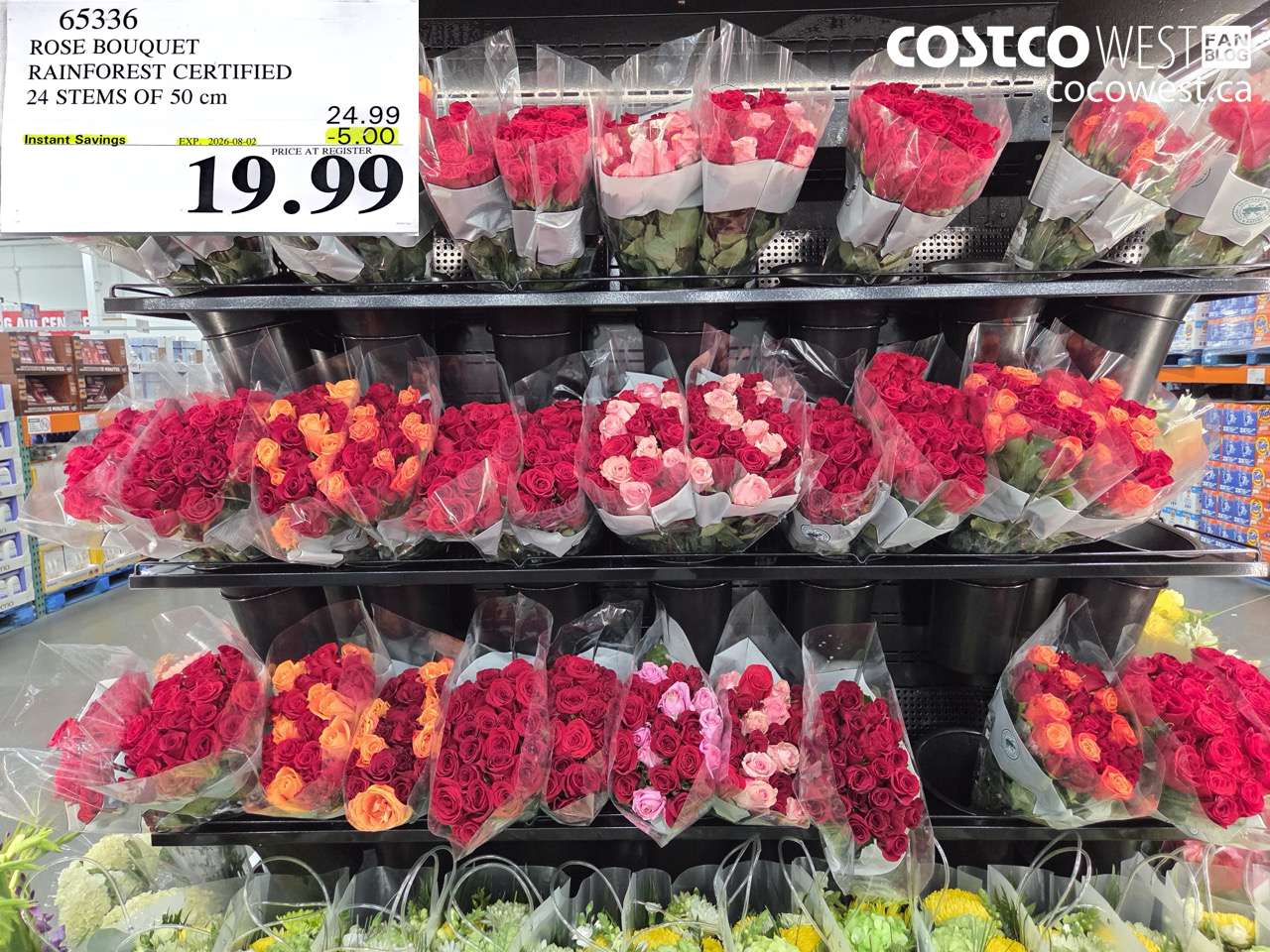 65336 ROSE BOUQUET RAINFOREST CERTIFIED 24 STEMS OF 50 CM ($5.00 INSTANT SAVINGS EXPIRES ON 2026-08-02) $19.99