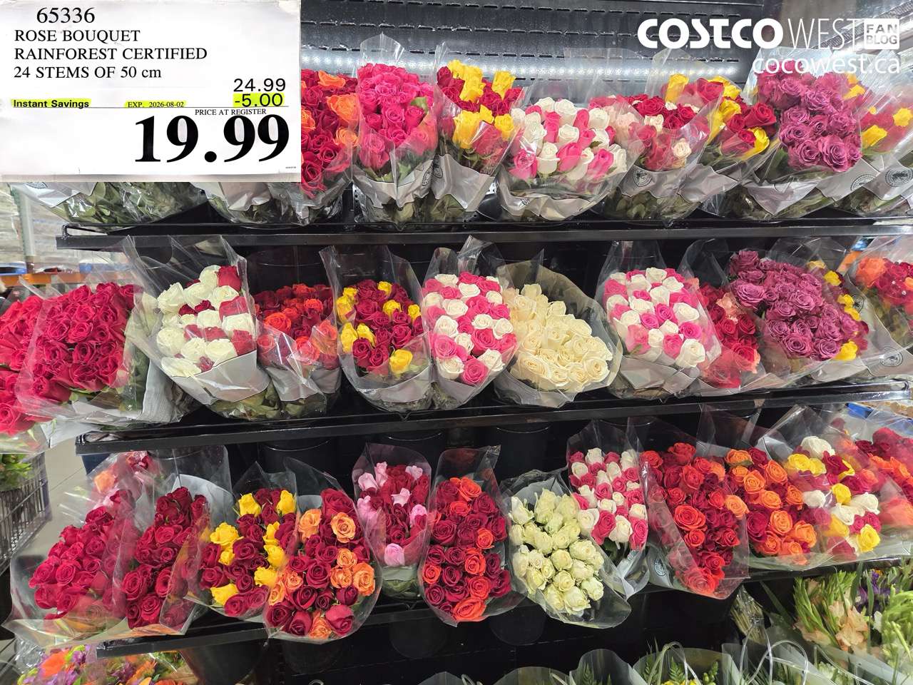 65336 ROSE BOUQUET RAINFOREST CERTIFIED 24 STEMS OF 50 CM ($5.00 INSTANT SAVINGS EXPIRES ON 2026-08-02) $19.99