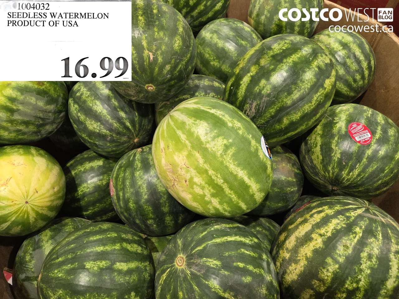 1004032 SEEDLESS WATERMELON PRODUCT OF USA $16.99