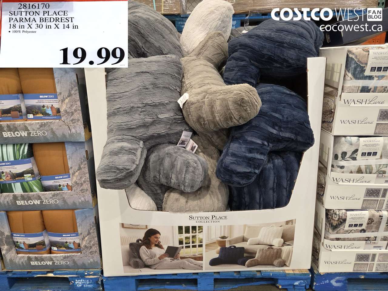 2816170 SUTTON PLACE PARMA BEDREST 18 IN X 30 IN X 14 IN $19.99