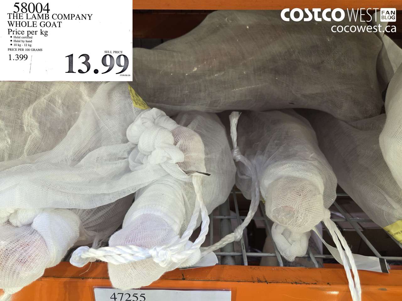 58004 THE LAMB COMPANY WHOLE GOAT PRICE PER KG $13.99