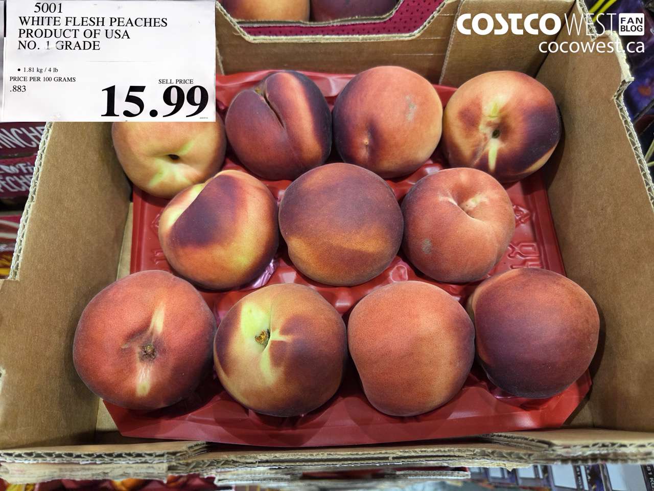 5001 WHITE FLESH PEACHES PRODUCT OF USA NO. 1 GRADE $15.99