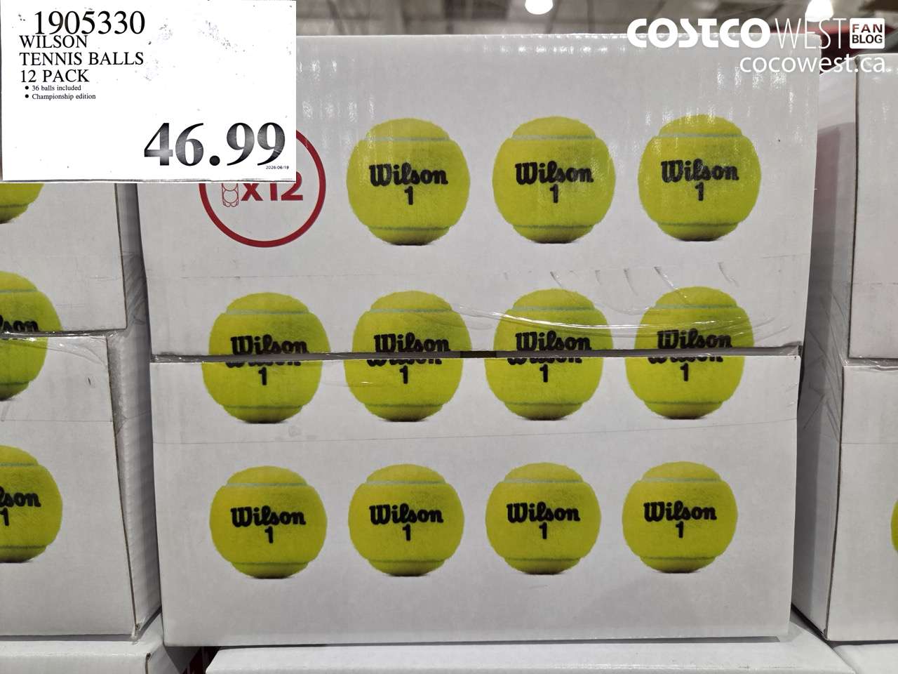 1905330 WILSON TENNIS BALLS 12 PACK $46.99