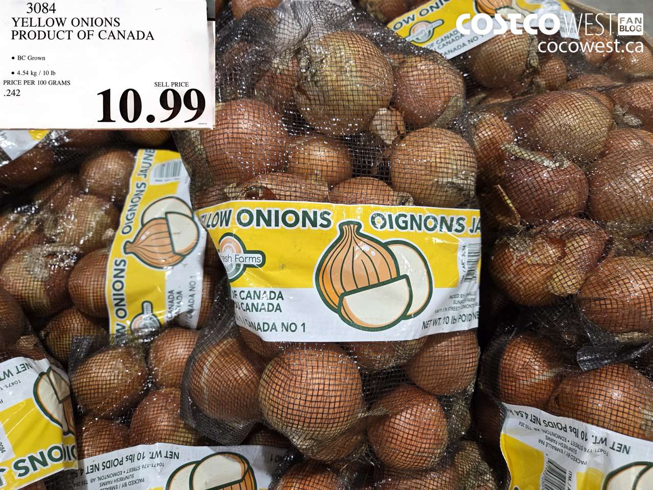 3084 YELLOW ONIONS PRODUCT OF CANADA $10.99