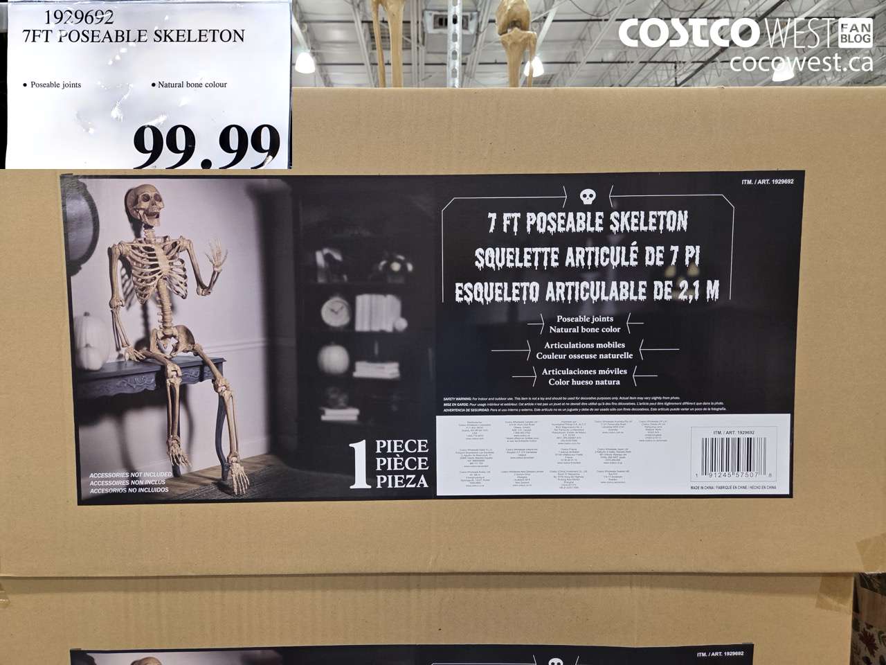 1929692 7FT POSEABLE SKELETON $99.99