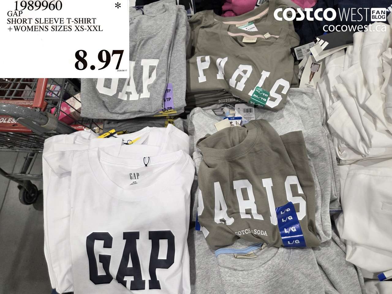 1989960 GAP SHORT SLEEVE T-SHIRT + WOMENS SIZES XS-XXL $8.97