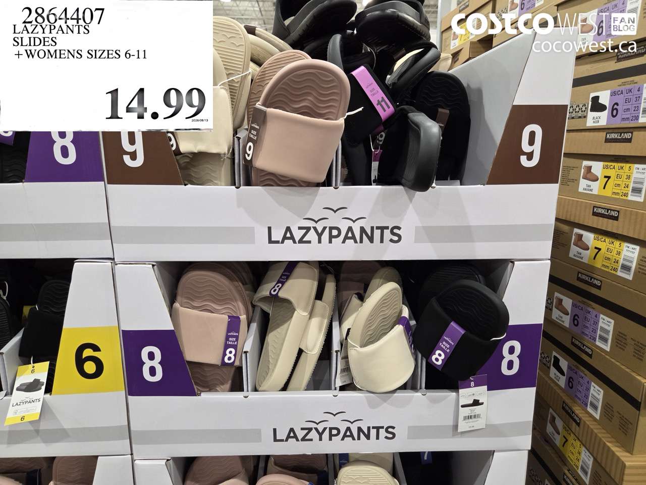 2864407 LAZYPANTS SLIDES WOMENS SIZES 6-11 $14.99