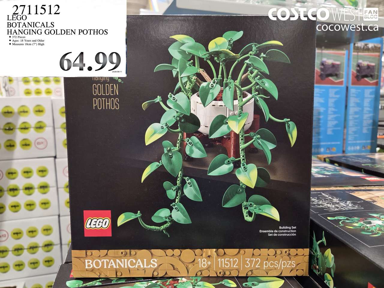 2711512 LEGO BOTANICALS HANGING GOLDEN POTHOS $64.99