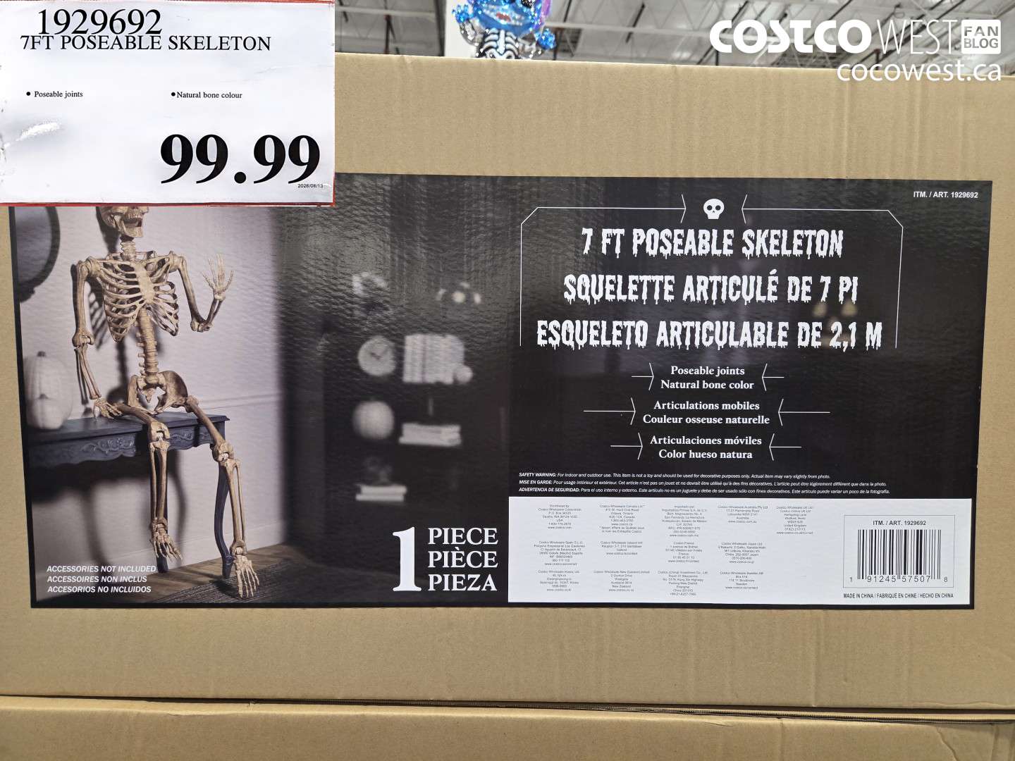 1929692 7FT POSEABLE SKELETON $99.99