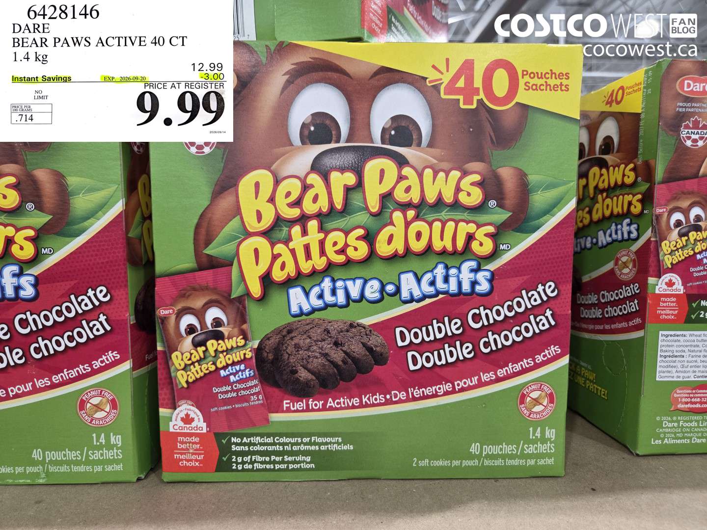 DARE BEAR PAWS ACTIVE 40 CT 1.4 KG