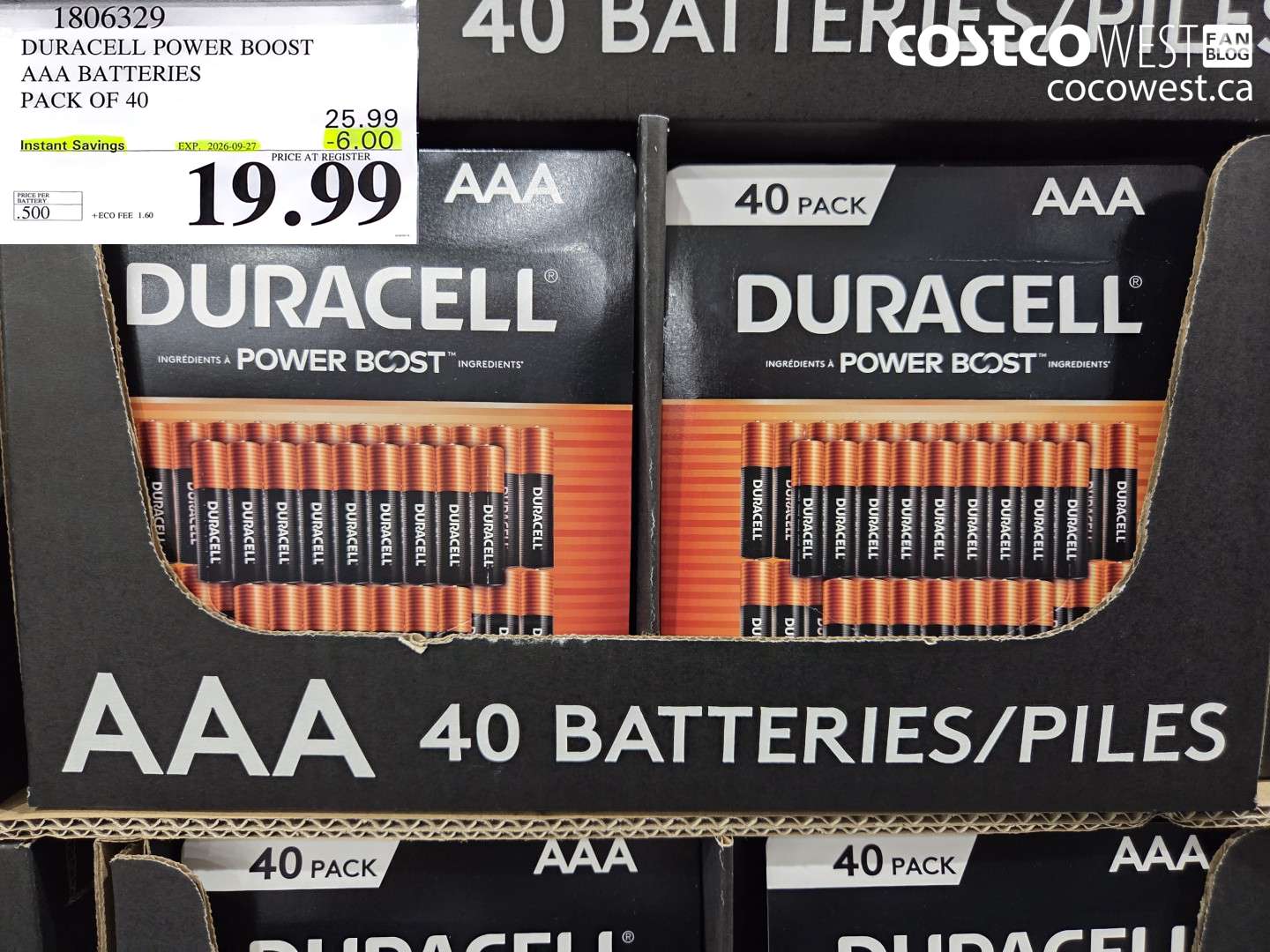 1806329 DURACELL POWER BOOST AAA BATTERIES PACK OF 40 ($6.00 INSTANT SAVINGS EXPIRES ON 2026-09-27) $19.99