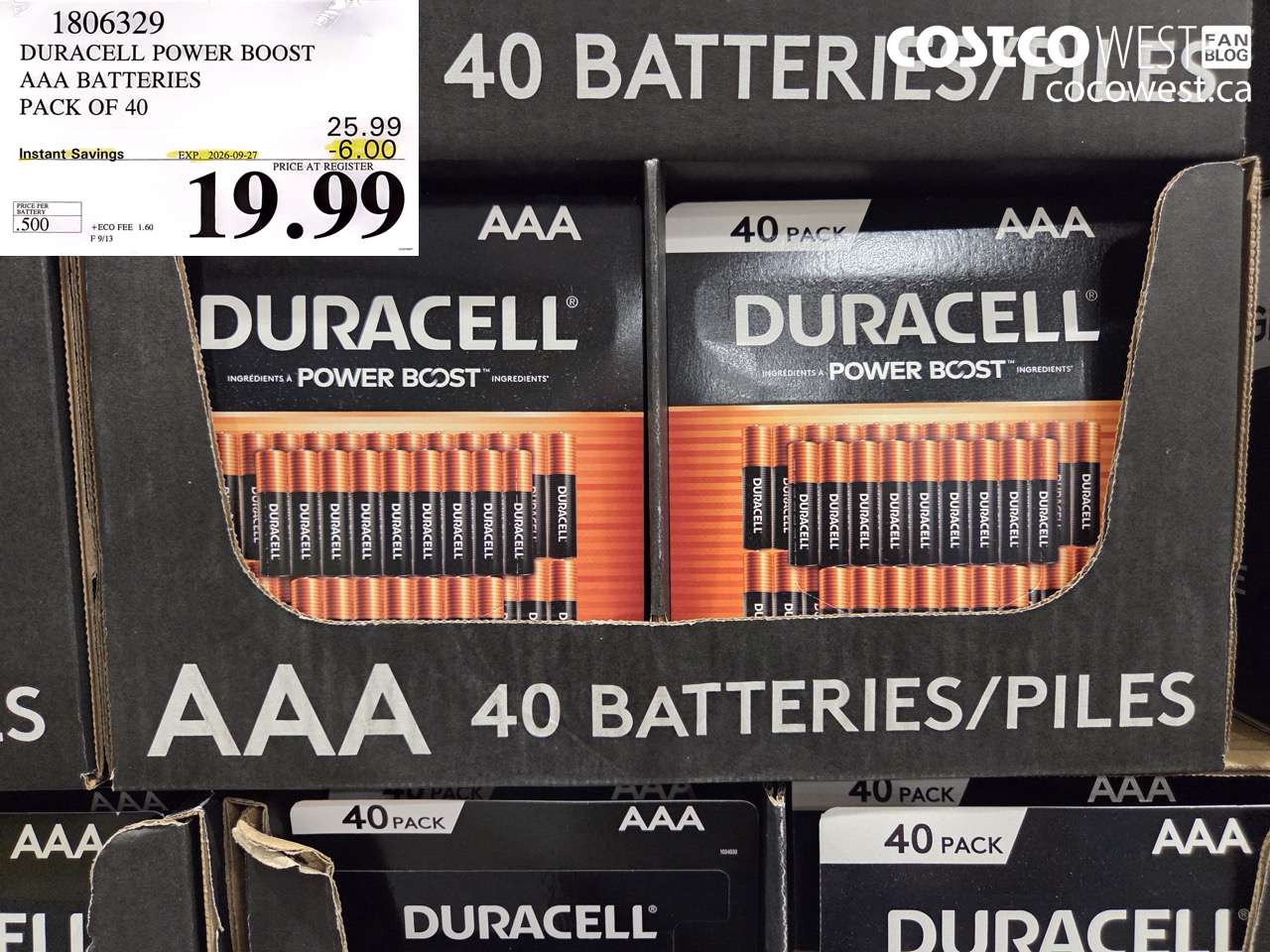1806329 DURACELL POWER BOOST AAA BATTERIES PACK OF 40 ($6.00 INSTANT SAVINGS EXPIRES ON 2026-09-27) $19.99