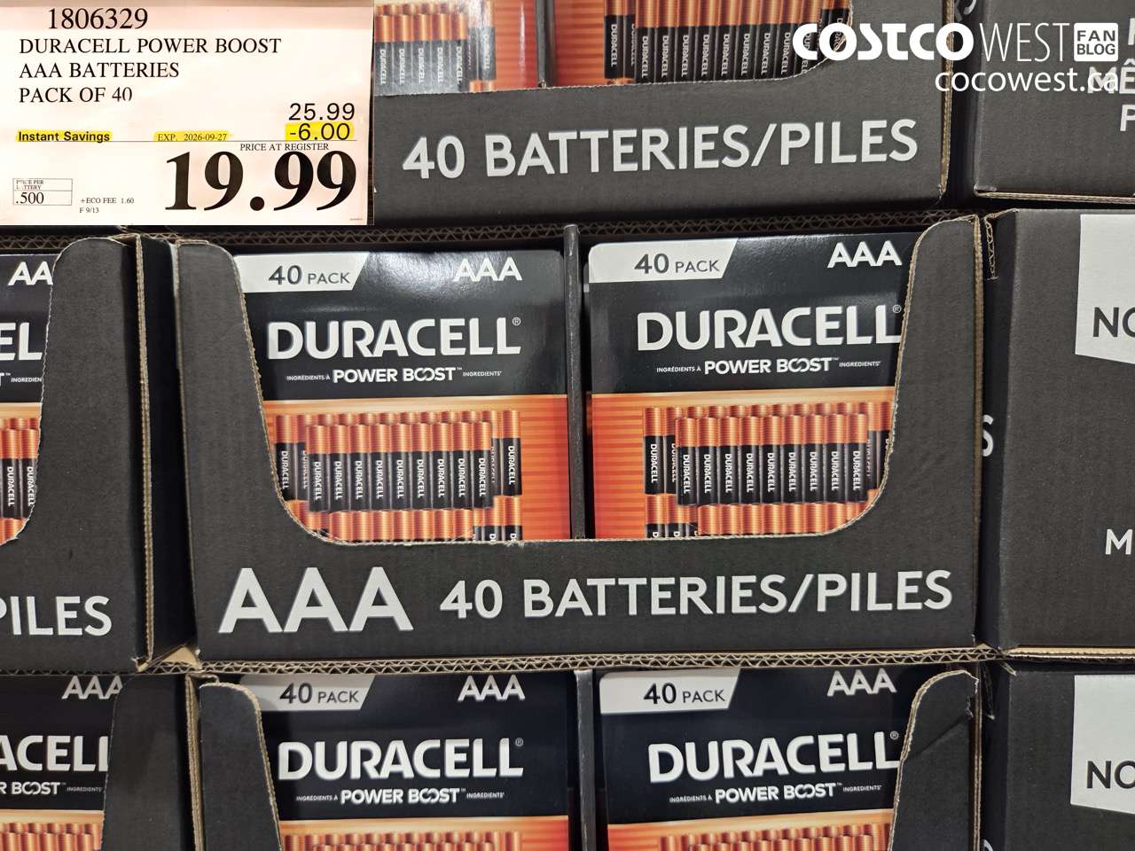 1806329 DURACELL POWER BOOST AAA BATTERIES PACK OF 40 ($6.00 INSTANT SAVINGS EXPIRES ON 2026-09-27) $19.99