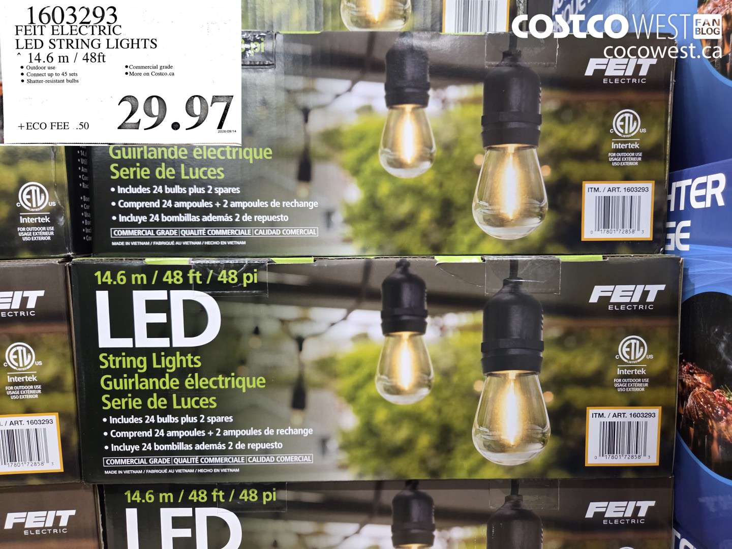 1603293 FEIT ELECTRIC LED STRING LIGHTS 14.6 M / 48FT $29.97
