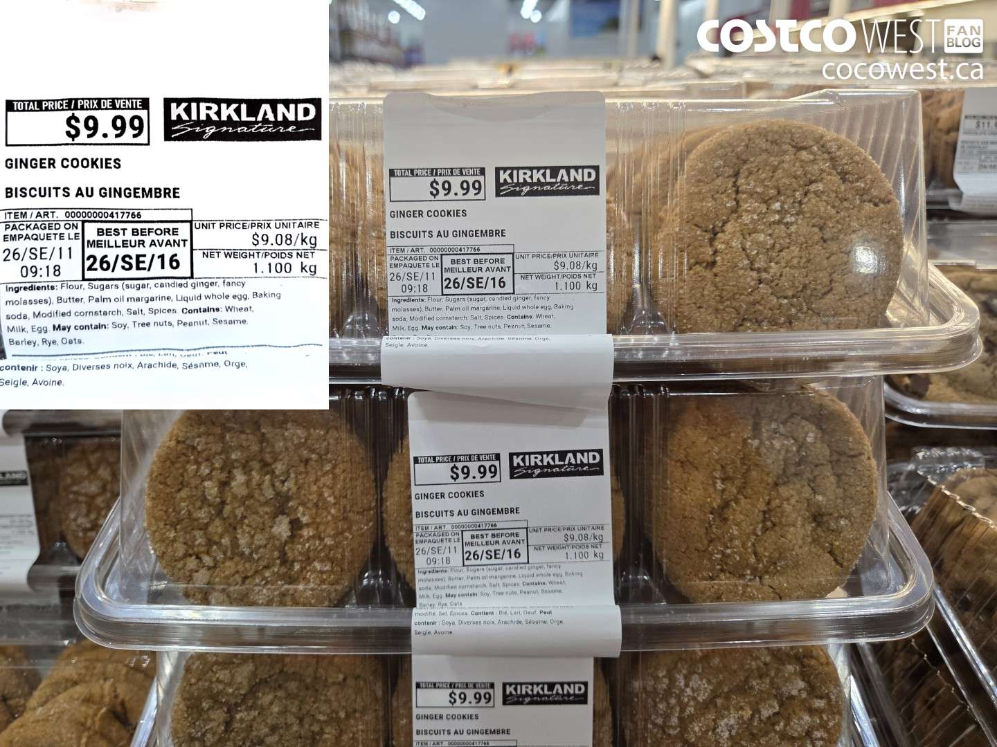 417766 GINGER COOKIES $9.99