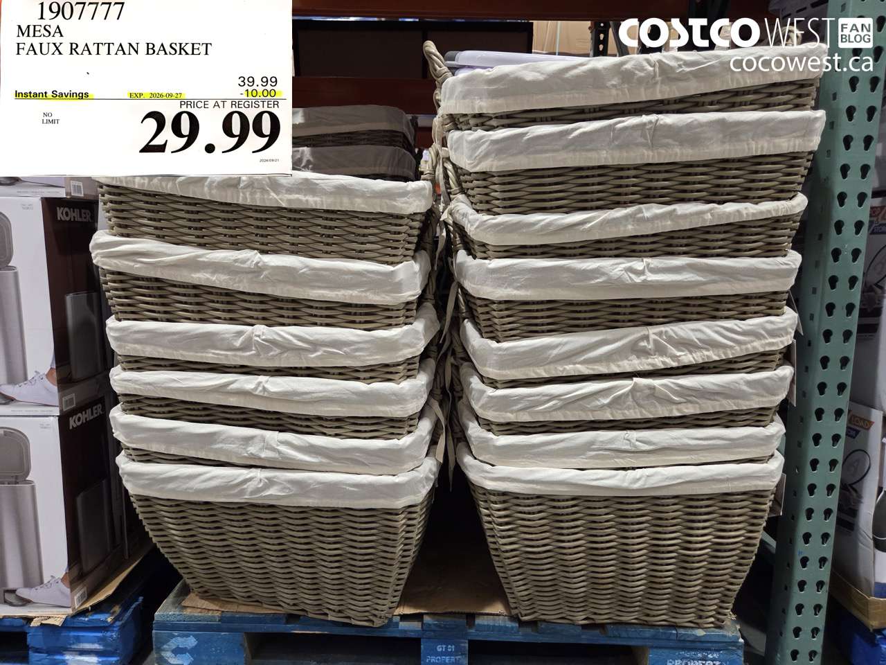 1907777 MESA FAUX RATTAN BASKET ($10.00 INSTANT SAVINGS EXPIRES ON 2026-09-27) $29.99