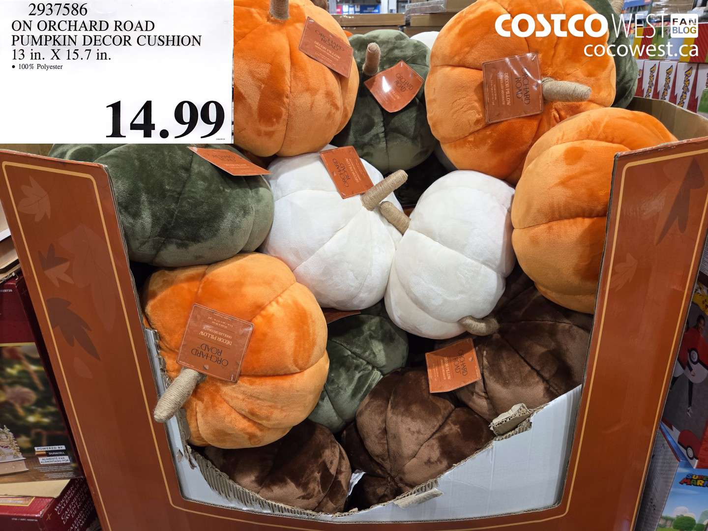 2937586 ON ORCHARD ROAD PUMPKIN DECOR CUSHION 13 IN. X 15.7 IN. $14.99