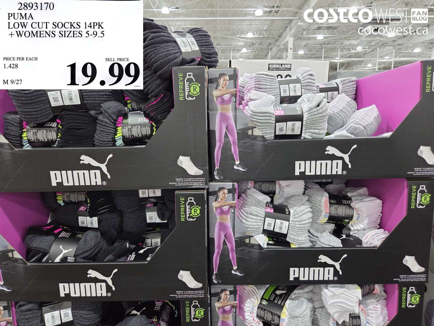 2893170 PUMA LOW CUT SOCKS 14PK + WOMENS SIZES 5-9.5 $19.99