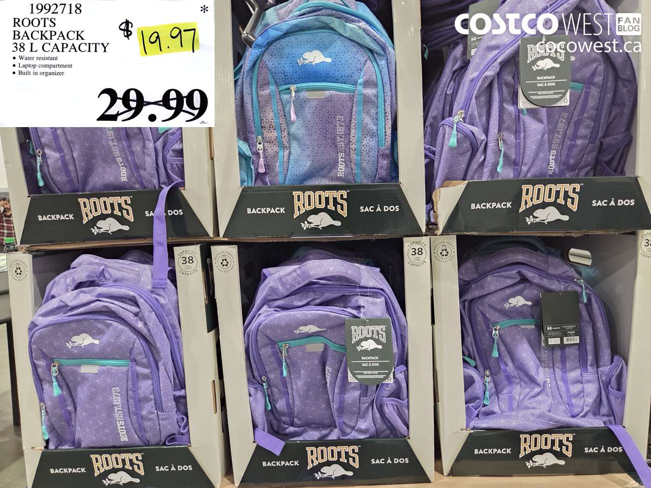 1992718 ROOTS BACKPACK 38 L CAPACITY $19.97