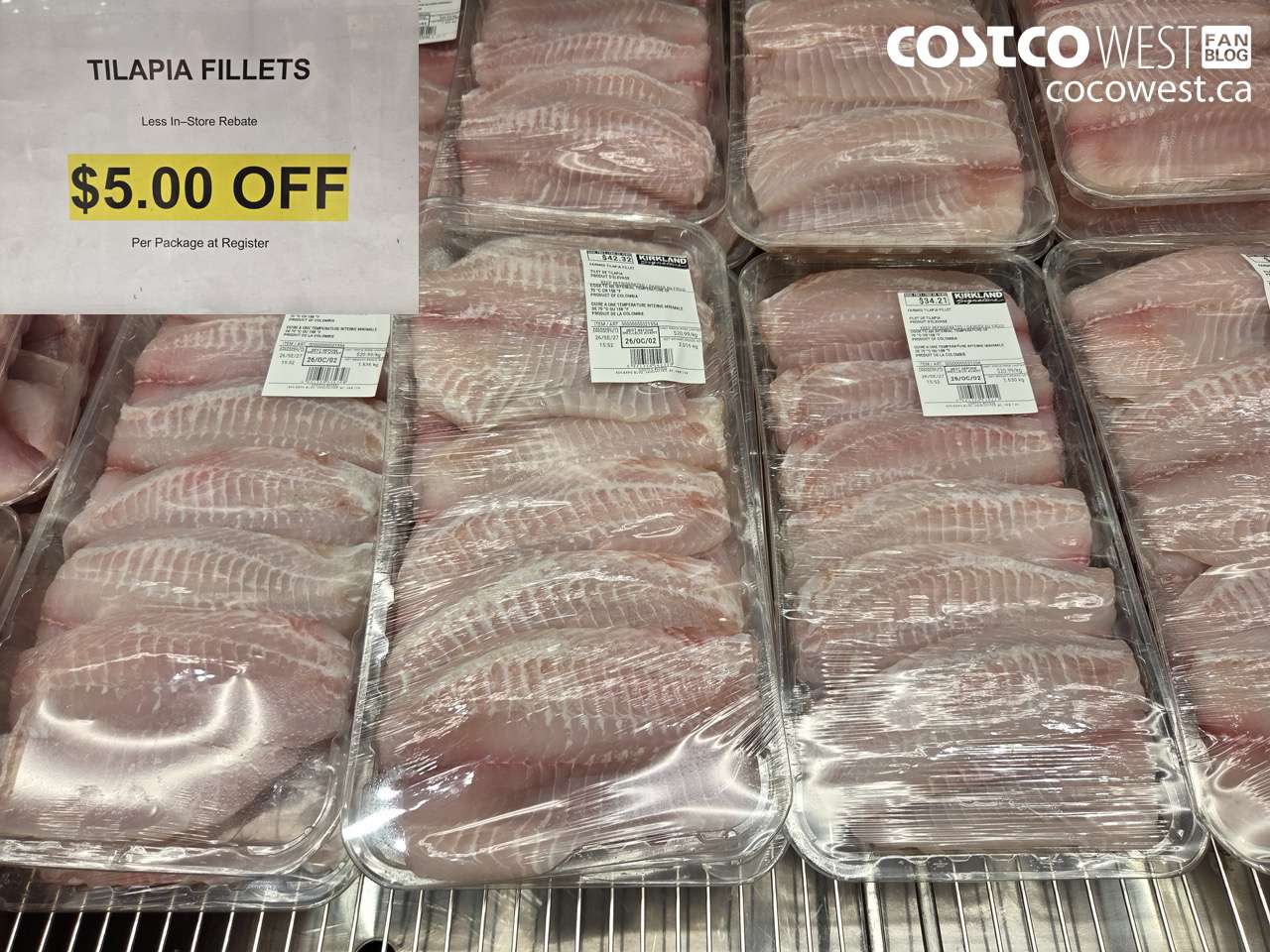 22202 TILAPIA FILLETS ($5.00 INSTANT SAVINGS)