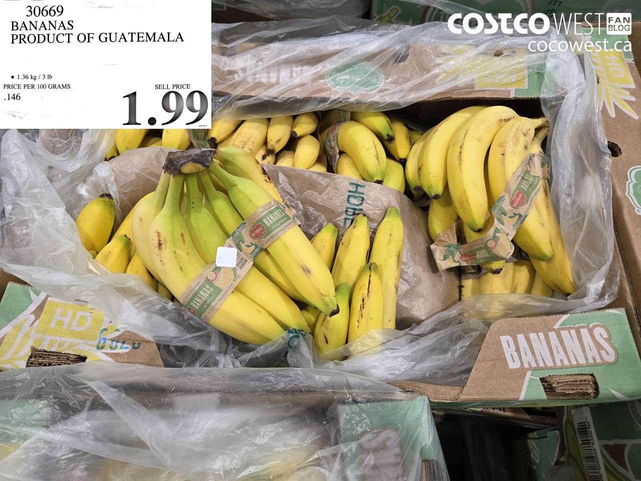 30669 BANANAS PRODUCT OF GUATEMALA $1.99