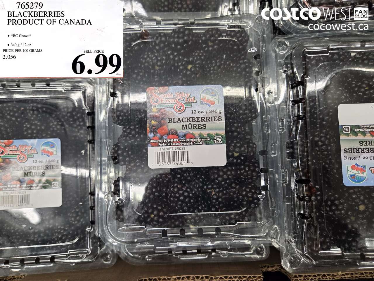 765279 BLACKBERRIES PRODUCT OF CANADA $6.99