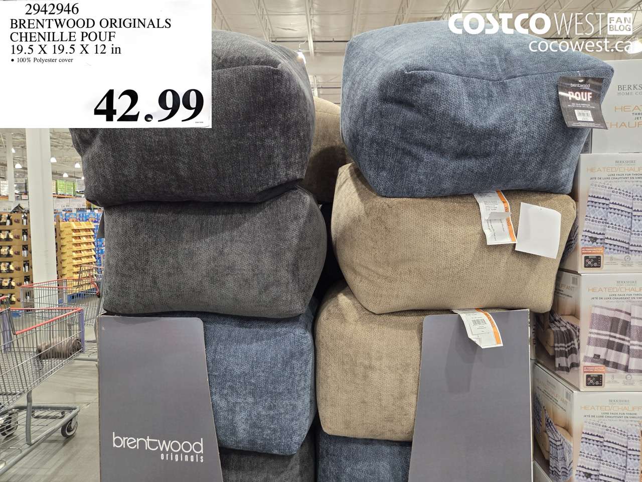 2942946 BRENTWOOD ORIGINALS CHENILLE POUF 19.5 X 19.5 X 12 IN $42.99