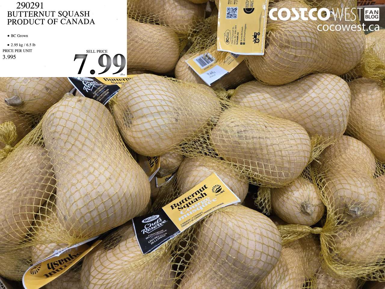 290291 BUTTERNUT SQUASH PRODUCT OF CANADA $7.99