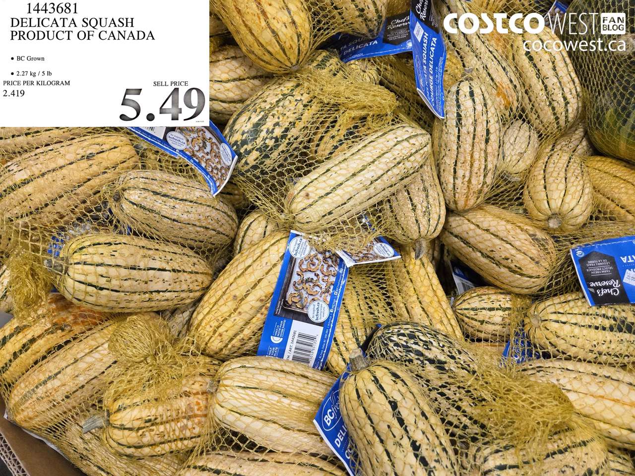 1443681 DELICATA SQUASH PRODUCT OF CANADA $5.49